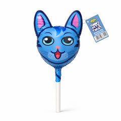Funny Pet Cat