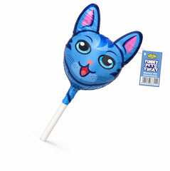 Funny Pet Cat