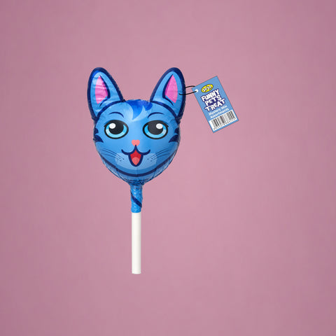 Funny Pet Cat