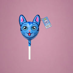 Funny Pet Cat