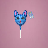 Funny Pet Cat
