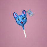 Funny Pet Cat