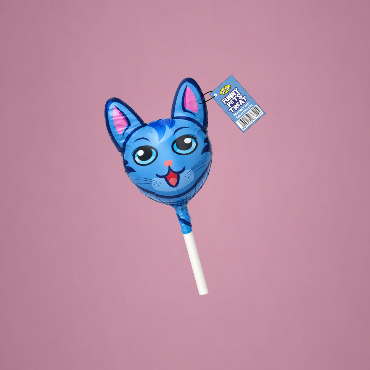 Funny Pet Cat