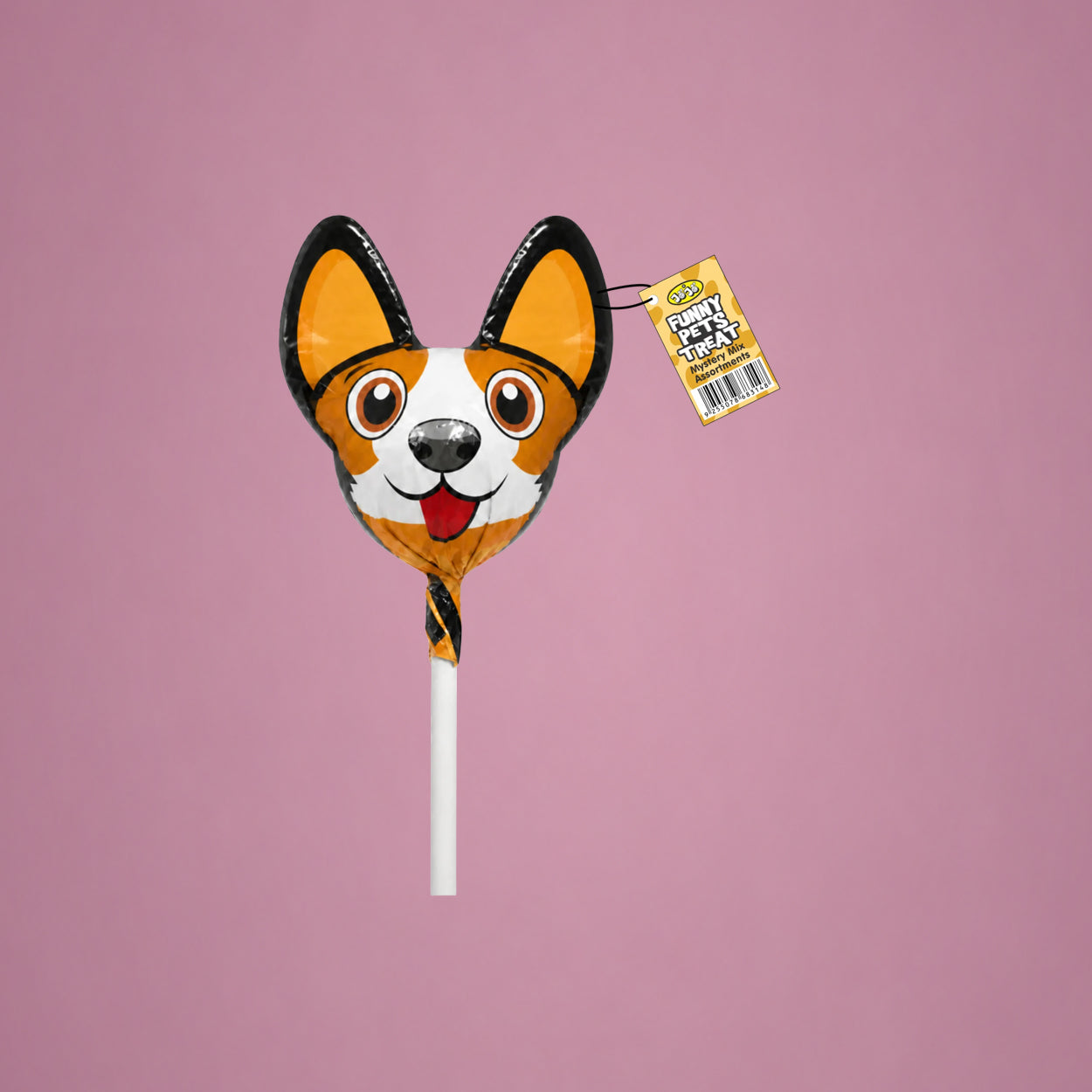 Funny Pet Dog