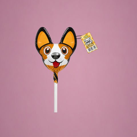 Funny Pet Dog