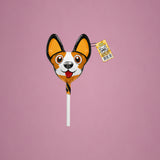 Funny Pet Dog
