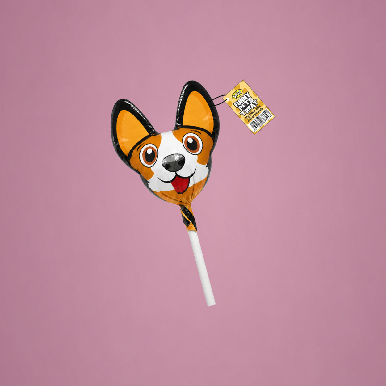 Funny Pet Dog
